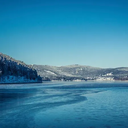 2 Mit Pool Im Haus Schluchsee